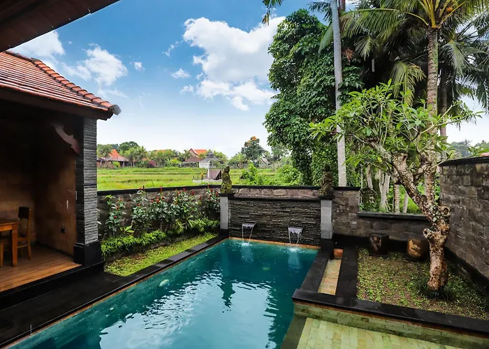 Emerald - Precious Find In The Ubud (Bali)